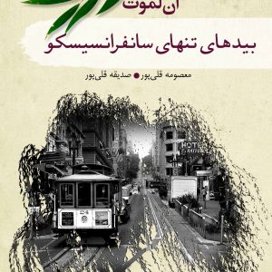 ان لموت در سال 1954 در سانفرانسیسکو به دنیا آمد. لموت علاوه بر رمان، آثار غیر داستانی و مقاله می¬نویسد و از فعالین سیاسی و اجتماعی به شمار می¬رود. او سردبیری دوهفته نامه اینترنتی یادداشت¬های آنلاین¬: کلمه به کلمه را بر عهده دارد که از نظر مجله تایمز بهترین نشریه اینترنتی نام گرفت. در سال 1999 مستندی از زندگی او با عنوان پرنده به پرنده با آنی توسط کارگردان برنده اسکار فریدا لی ماک ساخته شد. روایت عشق و از دست دادن آن محور اصلی اکثر رمان های او است. در کتاب حاضر، لموت می¬کوشد با تصویر کردن عشق از دست رفته پدر، معصومیتی را روایت کند که در آن برای پر کردن جالی خالی پدر خود در آستانه نابودی قرار می¬گیرد. صدای قدم‌هایی را در راه پله شنید، قدم‌ها به سمت او می‌آمدند. ـ وای خدا، وای خدا، وای خدا. حتماً یه مرد مسلحه، یا شایدم یه دزد دریایی ـ مطمئن بود که حتماً همین‌طور است. صدای قدم‌ها بلندتر و نزدیک‌تر شد ـ شایدم ـ حتماً آقای تاکری بود. تقریباً مطمئن بود ـ لطفاً آقای تاکری باش ـ و رزی فقط محض احتیاط، نفسش را در سینه حبس کرد و وانمود کرد که مرده است تا اگر صدای قدم‌ها، صدای قدم‌های یک قاتل باشد، دیگر برای کشتن او به خودش زحمت ندهد. صدای پاها به انتهای راه پله رسید، نزدیک اتاق شارون آمد، اما از جلوی آن گذشت... ( از متن کتاب)